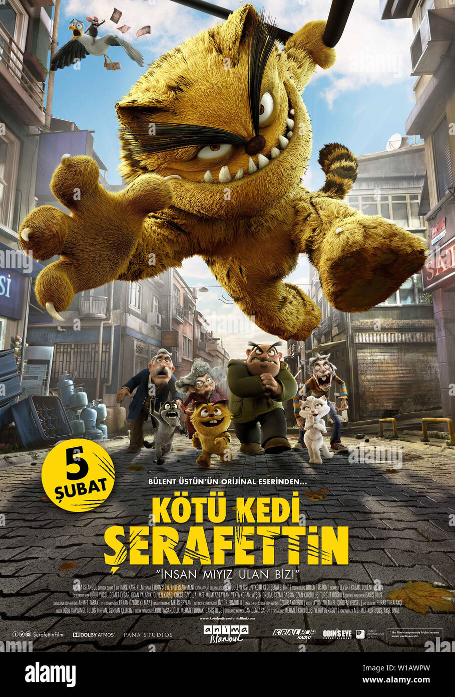 پوستر Bad Cat