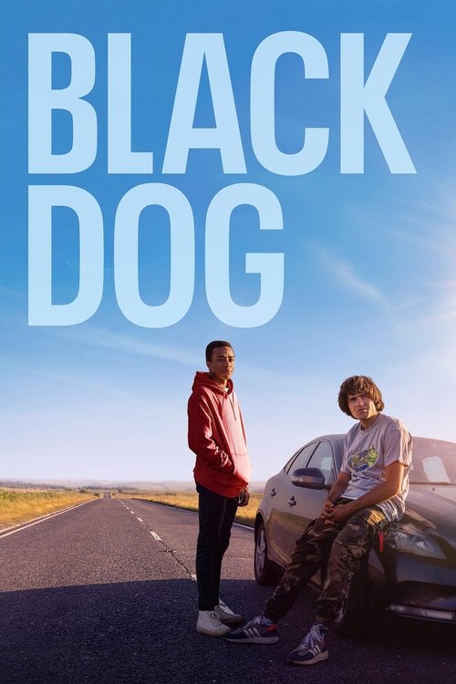 پوستر Black Dog
