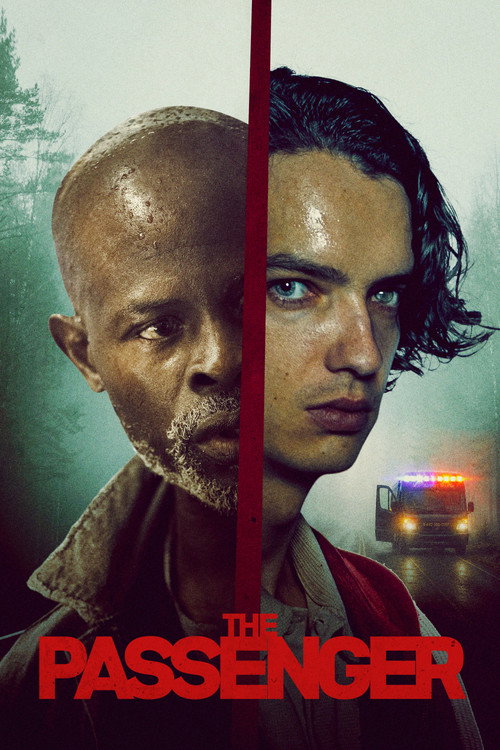 پوستر The Passenger