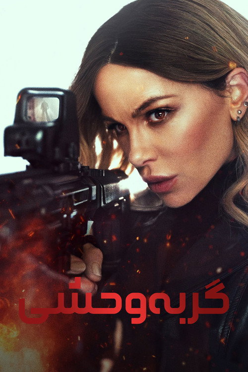 پوستر گربه وحشی