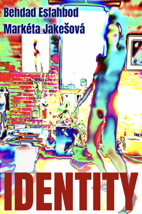 پوستر Identity