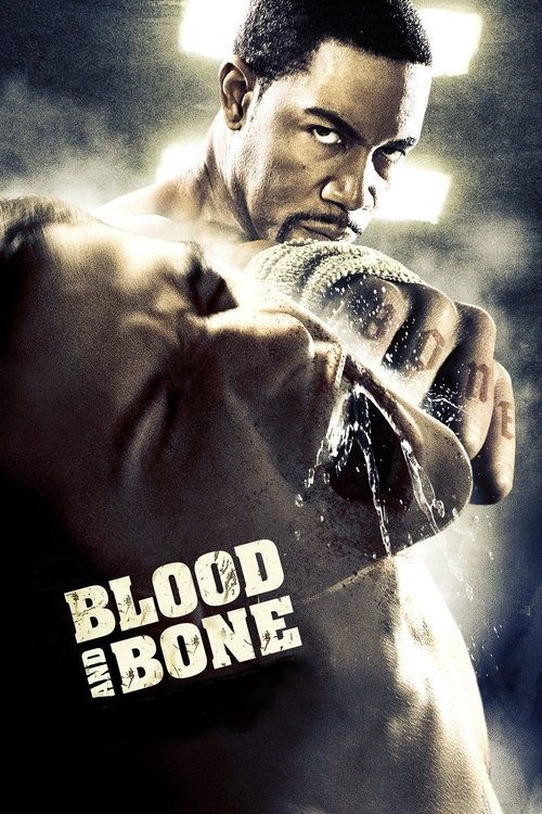 پوستر Blood and Bone