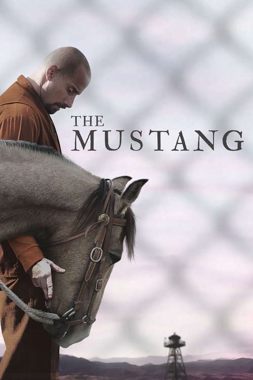 پوستر The Mustang