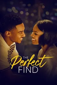 پوستر The Perfect Find