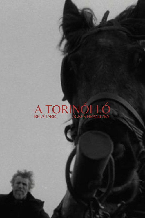 پوستر A torinói ló