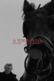 پوستر A torinói ló
