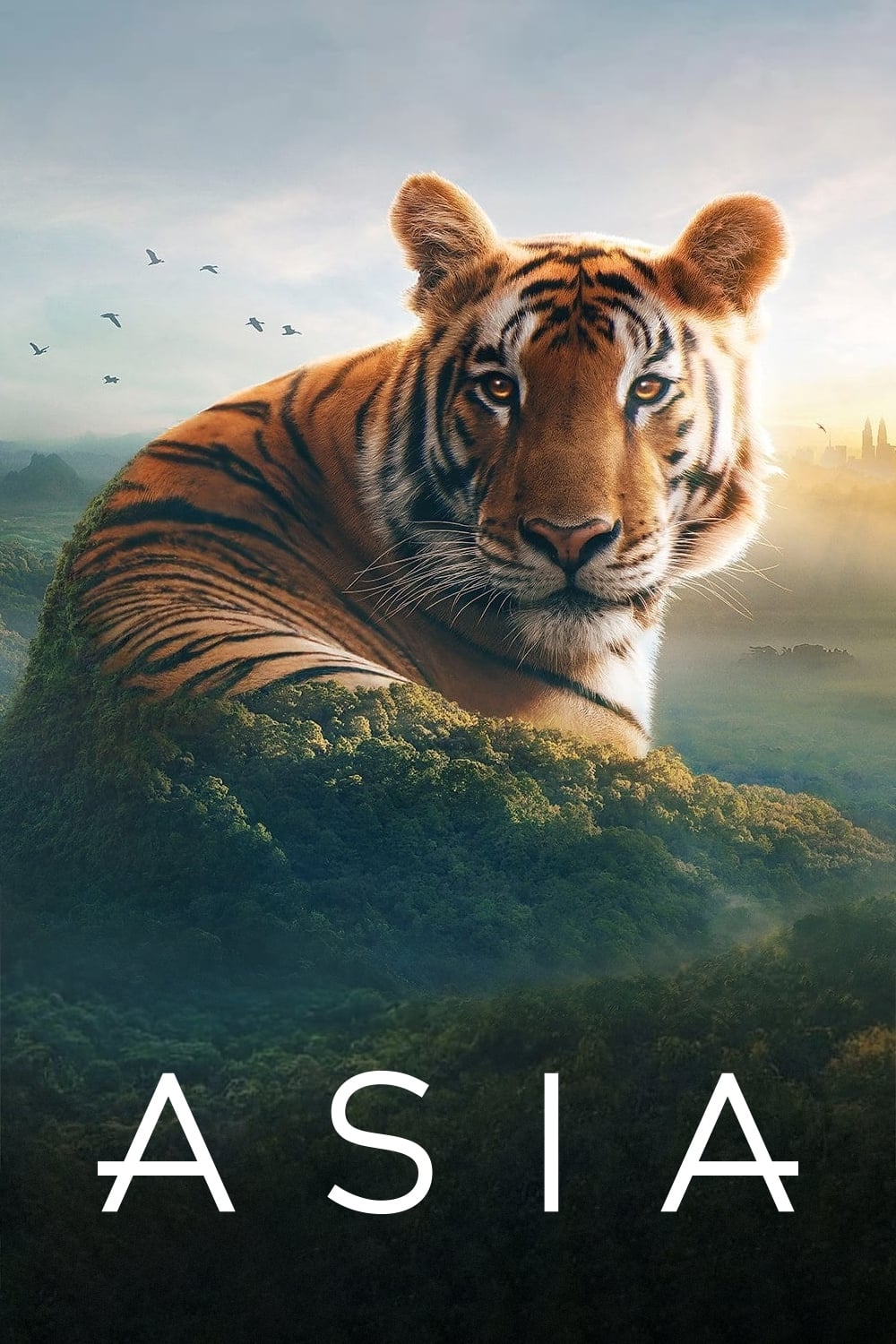 پوستر Asia