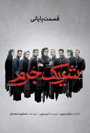 پوستر شریک جرم