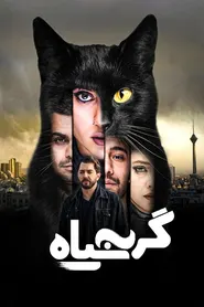 پوستر گربه سیاه