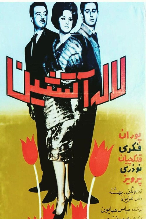 پوستر لاله آتشین