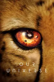پوستر Our Universe